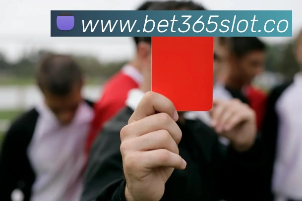 bet365中国官网APP 封面图